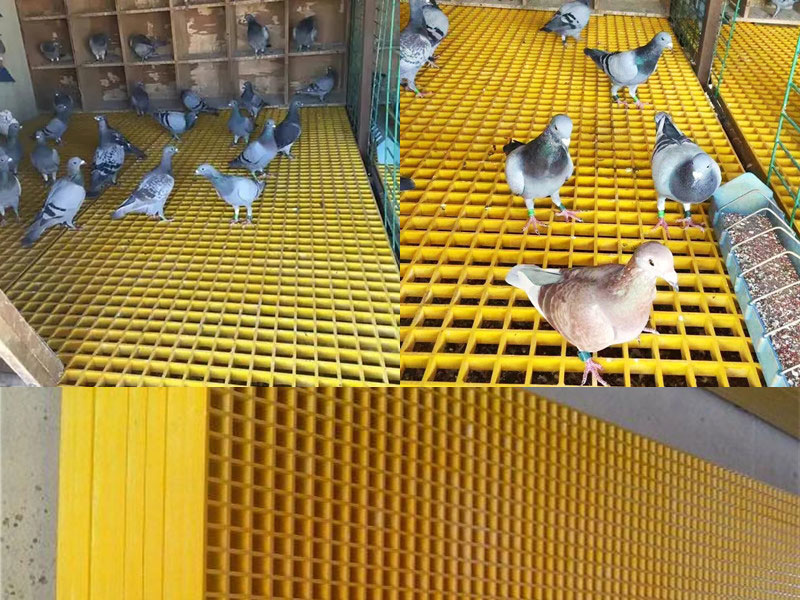 新源縣鴿舍用玻璃鋼格柵